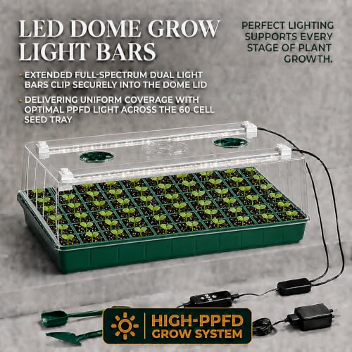 2-Pack 60-Cell Seed Starter Tray with Grow Light, 1-24H Timer - size: 60-Cell Seed Starter Tray with Grow Light 2 Pack