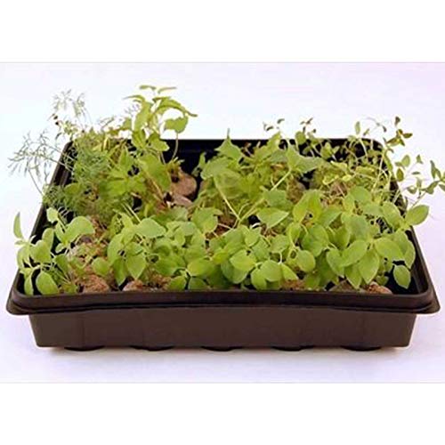Living Whole Foods Plant Germination Drip Trays - Pack of 100-10" by 10" Black Plastic Greenhouse Growing Trays with No Drain Holes - for Seedlings, Microgreens, Wheatgrass, More - size: Pack of 100