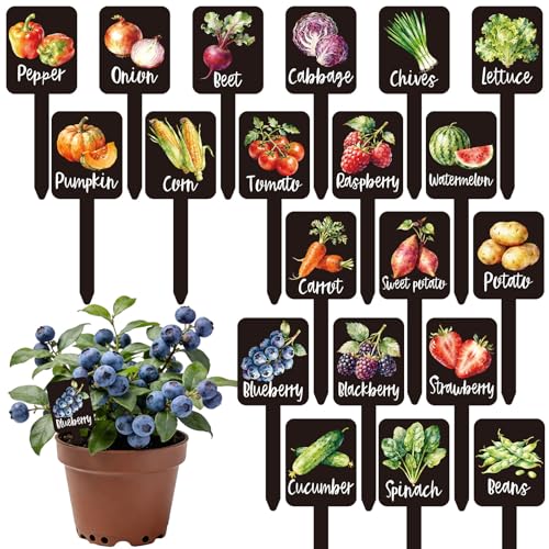 Whaline 20Pcs Watercolor Vegetable Fruit Plant Label Signs, 20 Styles - color: Black