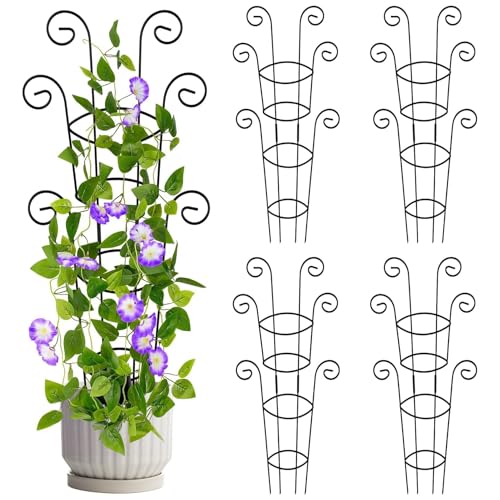 4 Pack 30 Inch Tall Metal Plant Trellis for Climbing Plants Indoor - Rustproof Garden Trellis for Potted Houseplants, Sturdy Support for Ivy, Pothos, Monstera, Hoya & Flower Vines - size: 30" | Haven for Houseplants