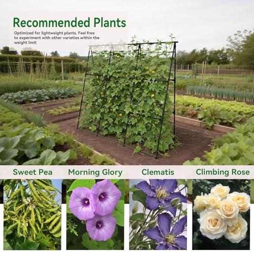 Cucumber Trellis 49.4"*49.4" Metal Garden Trellis for Climbing Plants,Black - color: black, size: 50"*32"*50"