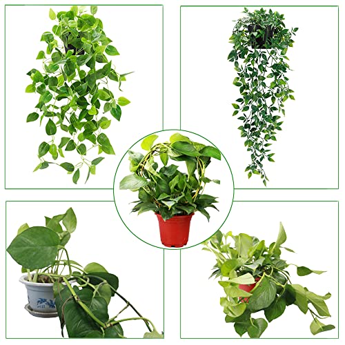 2 Pack Circle Trellis for Climbing Plants Indoor, 15" Gold Small Plant Support Stakes, Flower Houseplant Hoya Support for Potted Plants & Garden Stem Vines