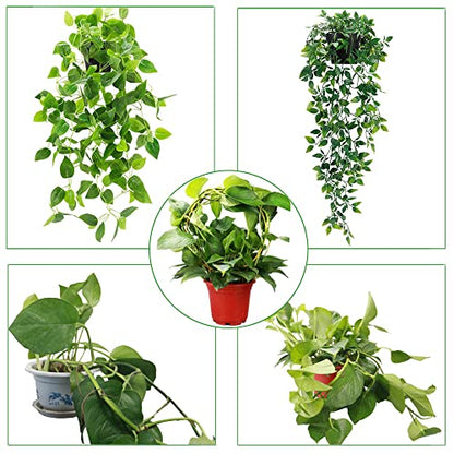 2 Pack Circle Trellis for Climbing Plants Indoor, 15" Gold Small Plant Support Stakes, Flower Houseplant Hoya Support for Potted Plants & Garden Stem Vines