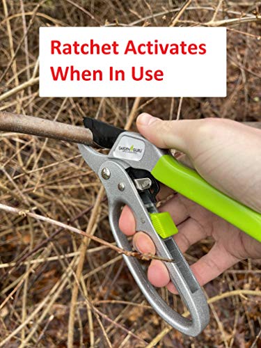 Garden Guru Ratchet Hand Pruning Shears - Professional Garden Clippers with Ergonomic Grip - Makes Tough Cuts Easy (2 Pack) - size: 2 Pack, style: Ratchet