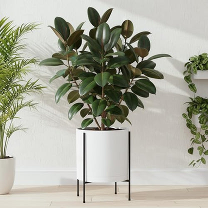 D'vine Dev Plastic Planter Pot with Metal Stand, White, 14 in, 55-D-A-4 - color: White, size: 14 Inch
