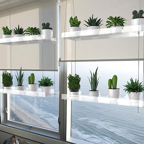 2-Tier Hanging Clear Plant Shelves for Windows,16 Inch per Tier - size: 2 Tier