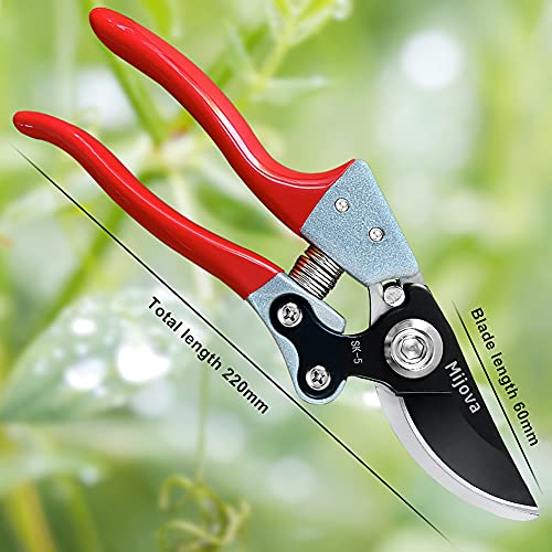 Garden Pruners, Heavy Duty Garden Clippers, Pruning Shears with Adjustable Thumb Lock, Hand Gardening Tools Pruners, High Carbon Steel Sharp Gardening Scissors (black) - color: Black
