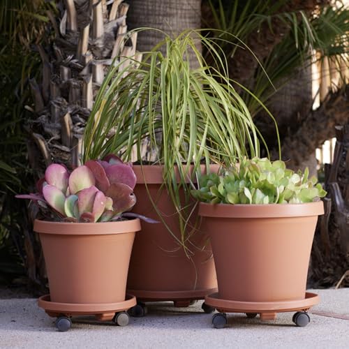 Bloem 12" Plastic Plant Caddy with Wheels, 75 lb Capacity, Terra Cotta - color: Terra Cotta, size: 12"