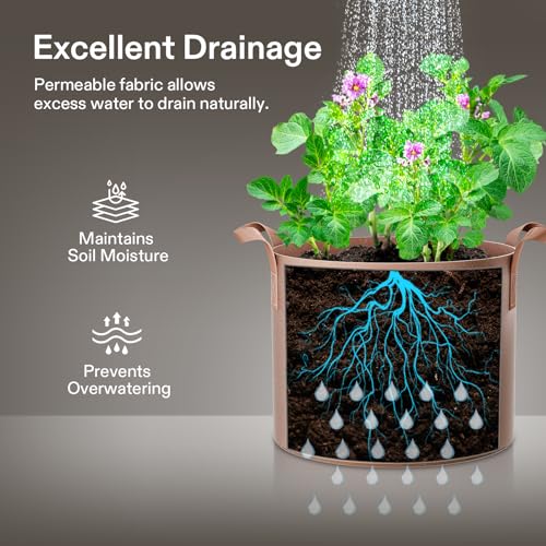 VIVOSUN 5-Pack 2 Gallon Plant Grow Bags Fabric Pots with Handles - color: Tan, size: 2 Gallons
