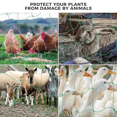 Kikhope Trellis Netting for Climbing Plants, 3 Pack 5.9x5.9 ft Trellis Net - size: 5.9ft x 5.9ft (3 Packs)