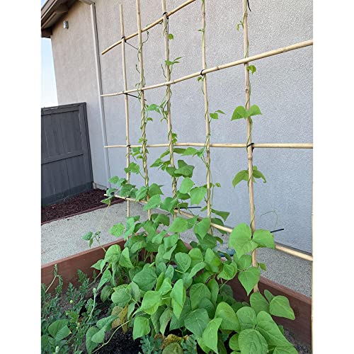 0.32”-0.4"/ 4 Feet Garden Stakes, Natural Bamboo Sticks Plant Stakes for Indoor and Outdoor Plants，Poles for Tomatoes, Beans, Potted Plants(50Pcs) - size: 4Ft,Pack of 50