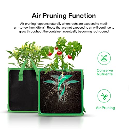 VIVOSUN 5-Pack 3 Gallon Square Plant Grow Bags with Handles - size: 3 Gallon