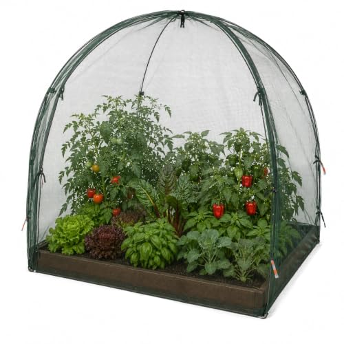 NuVue Products 25203 Pop-Up Garden Netting Animal and Bug Guard Covers with Ground Spikes, Mesh Plant Cover Tents for Pest and Animal Control, 52" x 52" x 54" - color: Green, size: 52" x 52" x 54"