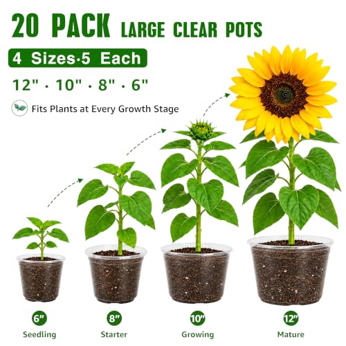Bluepro Clear Nursery Pots with Drainage Holes, 6/8/10/12 Inch, 20-Pack - size: 6/8/9.5/12 Inch-20Pcs