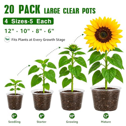 Bluepro Clear Nursery Pots with Drainage Holes, 6/8/10/12 Inch, 20-Pack - size: 6/8/9.5/12 Inch-20Pcs