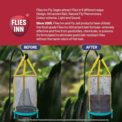 EZ Fly Cage Ranch Fly Trap with 2 Flies Inn Fly Attractant Bait Refill, Low Odor, Reusable, Built to Last for Years (3 Trap+ 6 Baits, 1) - style: 3 Trap+ 6 Baits