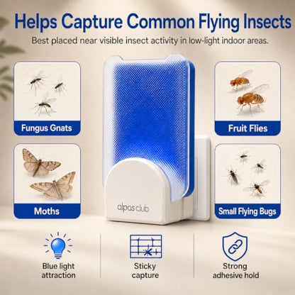 Plug-in Flying Insect Trap for Gnats & Fruit Flies, 1 Device + 5 Refills - size: 1 Device + 5 Refills