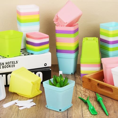 Hahood 120 Pack Mini Plastic Planters 3 Inch Flower Seedling Nursery Pots with Pallet Colorful Square Flower Plant Pots Seed Starting Pots with Labels and Tools for Home Garden Flowers Plants,6 Colors