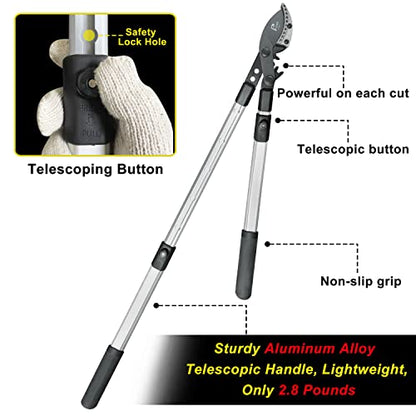26-41 Inch Extendable Anvil Loppers, Sync Drive Leverage Tree Trimmers, Telescopic Pruners Heavy Duty, 2 Inch Cutting Capacity