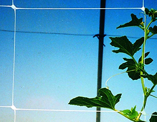 Tenax 1A150280 Hortonova Plant Trellis 48" x 500' White - size: 48" x 500'