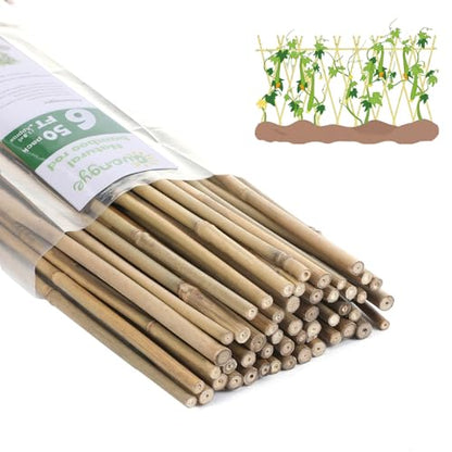 Bamboo Stakes,6Feet,50Pcs,Plant Bamboo Post,GUANGYE,Bamboo Garden Stakes - size: 6Ft,50Pack