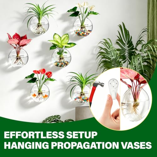 Window Propagation Stations, Wall Hanging Planters for Hydroponics