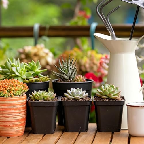 240 Pcs 3" Black Square Nursery Pots, Seed Starter with Drainage Holes - color: Black