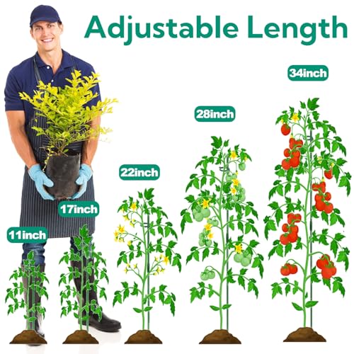 Coloch 48 Pack Plant Support Stakes, 11 Inch&17 Inch Height Adjustable Garden Plant Stake Orchid Sticks with 48 Clips and 24 Links Potted Plant Support for Orchid, Amaryllis, Tomato, Indoor&Outdoor
