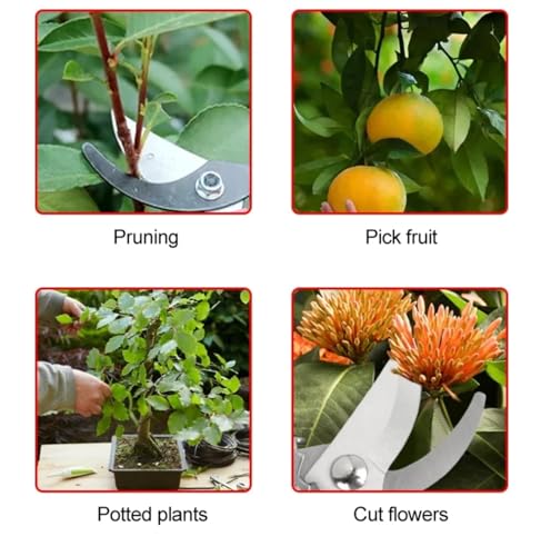 Pruning Shears 3MM, Garden Shears 7.5" Professional Stainless Steel Pruning Shears for Gardening, Sharp Handheld Heavy Duty Garden Hedge Clippers/Scissors Pruners Tools
