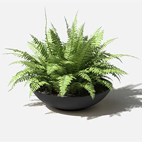 Veradek Mason Series Lane Bowl - Large Outdoor Bowl Planter - color: Black, size: 6"H x 24"DIA