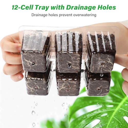 Bonviee 10-Pack Seed Starter Trays, 6-Cell Insert Trays, Clear - color: Clear, size: 10 Packs (60 XL Cells)