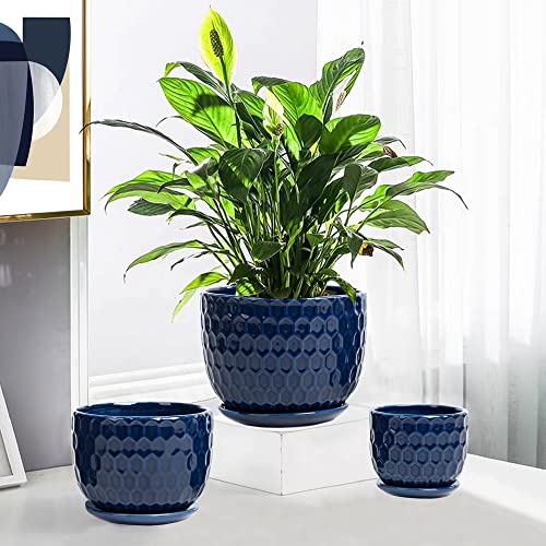 Ceramic Flower Pots with Drainage Hole and Saucer, North European Style Round Indoor Succulent Planters with Honeycomb Inspired Texture Design, Small to Medium-Sized, Set of 3, Navy Blue - size: 6.4"+5.2"+3.7" - Set of 3, style: Modern
