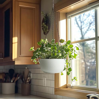 T4U Hanging Planters for Indoor Outdoor, 8 Inch Self Watering Pots, 2 Pack - size: 8 inch