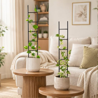 2PCS Indoor Plant Trellis, Sturdy Ladder Trellis for House Plant