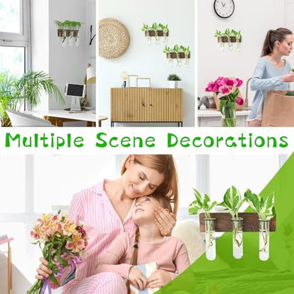 XXXFLOWER Wall Mounted Plant Terrarium with Wooden Stand 3 PCS - size: 9 Glass Tubes with Ring