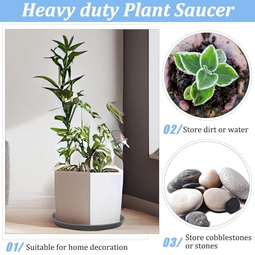 Eccliy 12 Pcs Plastic Plant Saucers Tray, Gray, 16 Inch, Round - color: Gray, size: 16 Inch, style: Round