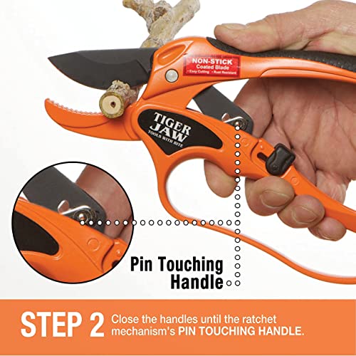 P3 Ratcheting Hybrid Bypass MEDIUM TO LARGE HANDS Anvil Blade Design Heavy Duty Metal Hand Pruner With Knuckle Guard Cuts Green Or Dead Wood Up To 1 Inch