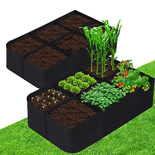 CJGQ Fabric Raised Garden Bed 4x2x1ft Garden Grow Bed Bags for Growing Herbs, Flowers and Vegetables 55 Gallon(2PACK)… - size: 4ft*2ft*1ft-2 Pack