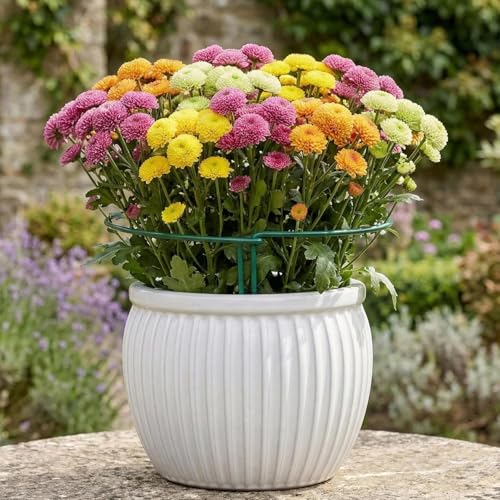 Thealyn 20 Pack Plant Support Stakes, 10" x 16" Peony Cages and Supports - size: 20Pack 10"x16"