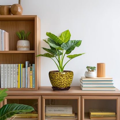 6 Inch Ceramic Plant Pot, Yellow Leopard - color: Yellow Leopard, size: 6 Inch