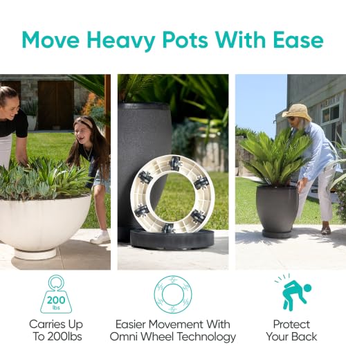 Omnia Plant Glider: Plant Caddy - 11.8In, 200lb Capacity - Off-White