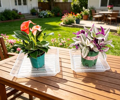 6 Pack 6 Inch Square Plant Saucer Heavy Duty, Plastic Drip Tray for Windowsill & Flower Pots, Clear - color: Clear, size: 6" - 6 Pack