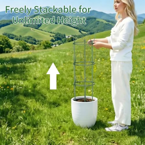 10 Pack Indoor Plant Supports, Stackable Monstera Stakes with Plant Clips