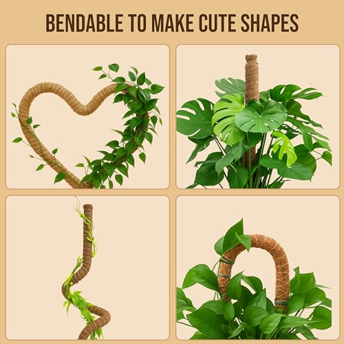 Craft911 Moss Pole Monstera Plant Support, 2 Pack 64" Bendable - size: 2-Pack (64 in)
