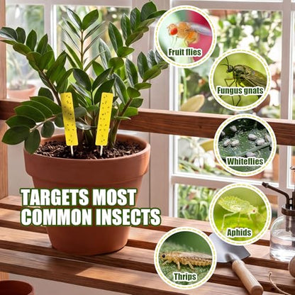 36 PCS Yellow Sticky Traps for Plant Gnats, Fungus Gnat Trap (4" x 1") - color: Yellow