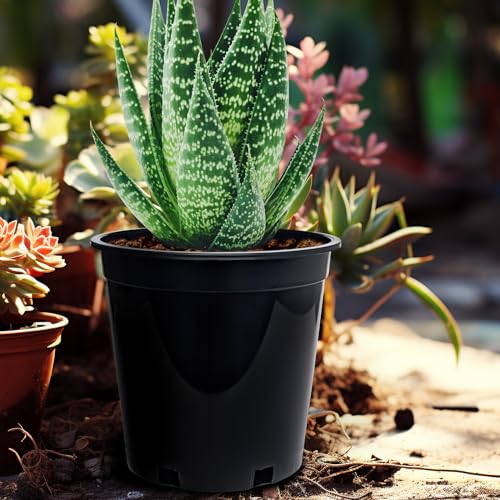 RooTrimmer 1.5 Gallon Plastic Nursery Pots, 7.5 Inch Round Plant Pots with Drainage Holes, 15 Pack Flower Pots for Outdoor Indoor Plants, Flowers, Gardening Gifts for Women, Black - size: 1.5Gallon-15P-Black