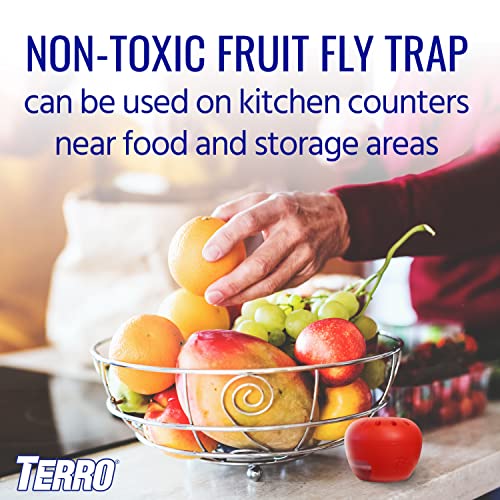 Terro Fruit Fly Traps for Indoors (12 Pack) + 540 Days of Lure Supply - size: 12 Traps