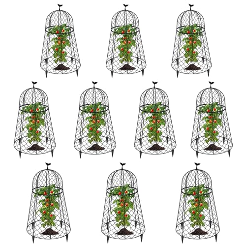 10 Packs Garden Cloches for Plants, Plant Protectors from Animals, Chicken Wire Cloche, Plant Cloche and Cage, Protection for Your Plants and Seedlings, 13" D x 20" H - Black - size: 10pcs - 20" High