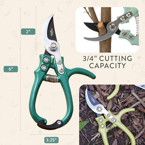 Modern Sprout Bypass Hand Pruners - Scissors - Gardening Tools - Ocean - color: Ocean