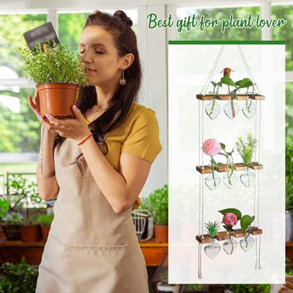 Leinuosen Hanging Plant Propagation Station, Propagation Vases, Clear - color: Clear